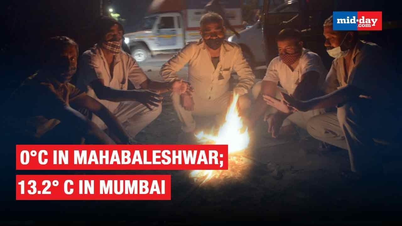 Mahabaleshwar Records Its Coldest Night At 0° C